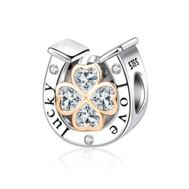 Alstiva Family Friendship Love 925 Sterling Silver 5A Cubic Zirconia Charm Pendant for Bracelet Charm Bead Pendant for European Bracelets Necklaces Jewellery Gift for Women, Sterling Silver, Cubic