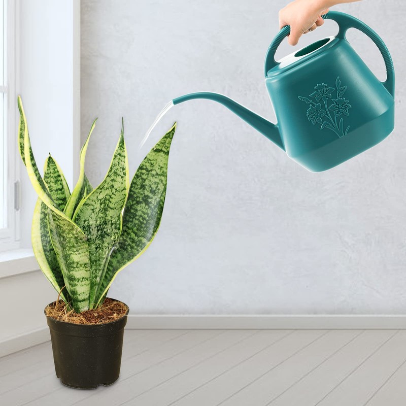 Fasmov 1-Gallon Plastic Watering Can with Comfortable Handle, Garden Watering
