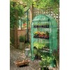 Grow It 08948 45 x 80 x 160 cm Replacement