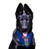 Love Alberta Bandanas for Large and Medium Pets,12×27inch Albertan Dog