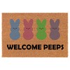 Welcome Doormat Coco Coir Door Mat Welcome Peeps Easter Bunny