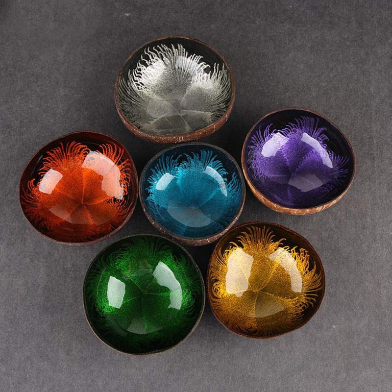 HEMOTON Coconut Bowls Natural Coconut Shell Bowl Decorative Key Storage
