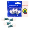 Christmas Concepts® Pack of 4 White Pearl White Berry Push