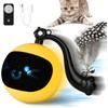 snoslme Interactive Cat Toy Ball with Remote Control, Automatic Moving