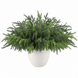 Wsorik 12Pcs Realistic Norfolk Pine Branches -18Inch Artificial Real Touch Christmas Pine Stems Picks Greenery Fake Cedar Pine Branch for Vase DIY Crafts, Xmas Indoor Outdoor Home Decor