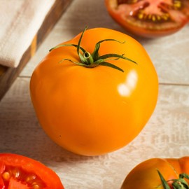 Tomato Seeds - Jubilee - 1 Oz ~7,500 Seeds - Solanum lycopersicum - Farm & Garden Vegetable Seeds - Non-GMO, Heirloom, Open Pollinated, Annual