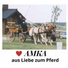 AMKA Bockdecke Fahrsport Carriage Bock Apron in Checked Design