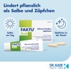 Faktu Lime Zäpfchen Pack of 10
