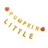 STOBAZA 3 Sets Little Pumpkin Banner Thanksgiving Decor Pumpkin Pattern