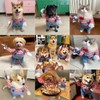 Funny Halloween Pet Costume for Dogs – Striped Jumpsuit with
