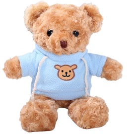 Gwxqybfe 10inch Teddy Bear Stuffed Animal with Hoodie, Soft Stuffed Bear Plushie Toys, Birthday Christmas Valentine's Day Gifts for Kid Boys Girls (Blue)