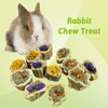 BNOSDM Hamster Chew Treats Chinchilla Natural Fruit and Vegetables Snacks