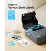 NIIMBOT B1 Bluetooth Label Printer with 3 Labels, Wide Waterproof