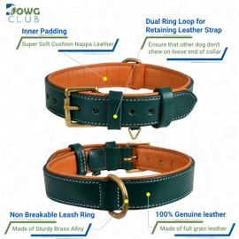 Genuine Leather Dog Collar | Full Grain, Heavy Duty, Comfortable, Padded, Strong | Best for Pups, Small, Medium, Large & XL Breeds (Medium (Fit Neck Size 14.5"-18.5"), Teal Green)