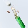 Vital Beauty 메타그린 부스터샷 7일분 Metagreen Booster Shot 7-Day Supply