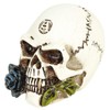 Alchemy England Alchemist Skull: Miniature Skull Unisex Skull Standard, resin,