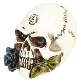 Alchemy England Alchemist Skull: Miniature Skull Unisex Skull Standard, resin,