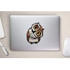 Vinyl Junkie Graphics Owl Staring Sticker/Decal
