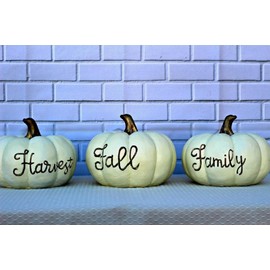 White and Gold Color Pumpkins with Hand Painted Fall Harvest Family Script Thanksgiving Tabletop Decorations 7-1/2"H