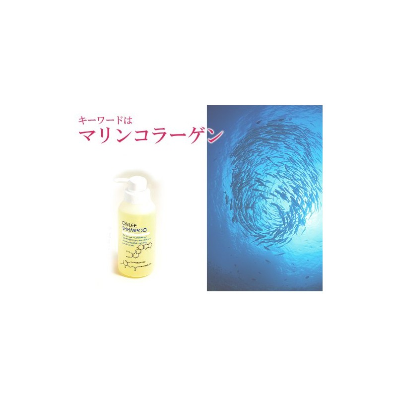 [onlee] onri-syanpu- II [, if Replacement] [nonsirikonsyanpu-]