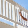 Rodda Paint SharkSkin Deck and Siding Solid Wood Stain, 1