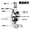 Microscope, Beginner Microscope Students, 100 - 1200 Times, For Children,