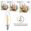 SHUWDKAR 12 Volt LED Candelabra Bulbs E12 Light Bulb 40