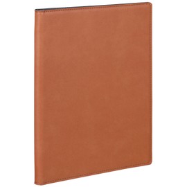 Raymay Fujii QE1126C Loose Leaf Binder Business Slim A4 Brown