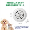 Gex Pure Crystal PON Dish, Gentle Mouth, For 30 Days,