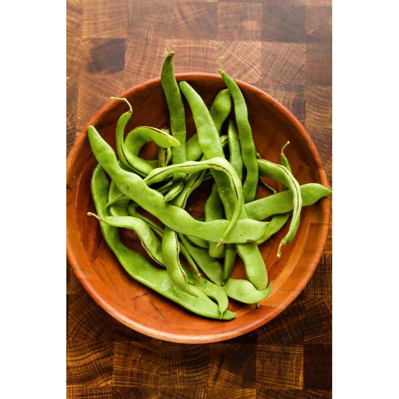 TomorrowSeeds Lu Qing Romano Bean Seeds | Pole Beans Light