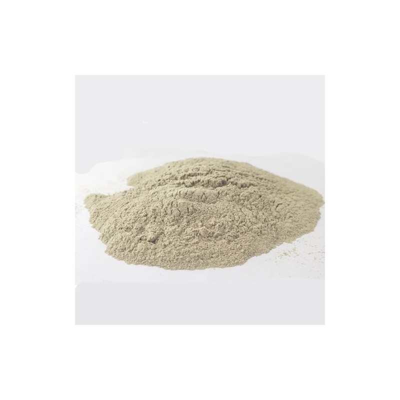 Tierrade Colores - Apio Molido Alimenticio Polvo 100 Gr Deshidratado