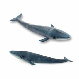 Humpback whale animal figure, humpback whale figure, whale figure, whale doll, whale toy, whale decoration, whale decoration / 흰수염고래 동물피규어 흰수염고래피규어 고래피규어 고래인형 고래장난감 고래장식품 고래장식