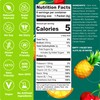 Stur Electrolyte Hydration Powder | Fruit Punch | High Antioxidants