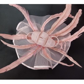 Dodheah Fascinators Hat Wedding Hat Headwear Vintage Veil Hat Derby Hat for Women Pillbox Hats Headband Women's Hair Clips for Wedding Ascot Carnival Tea Party, D-pink