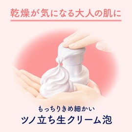 Bioreu The Body Foam Type Moisture Smooth Pump, 19.4 fl oz (540 ml)