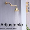 TRUSTMI 4 Inch Brass Shower Arm Adjustable Height Shower Head