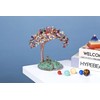 GEHECRST Feng Shui Money Tree Buddha Figure Tree of Life