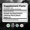 Herbsforever Shilajit Powder Mineral Pitch Antioxidant General Wellness Concentrated Extract