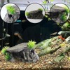 PENGYETHTY Goldfish, Aquarium, Hideaway, Aquarium, Tunnel, Aquarium, Object, Fish, Tropical