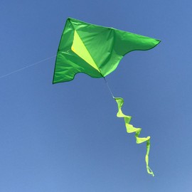 In the Breeze Colorblock Delta Kite with Twister Tail - Single Line Kite - 55-Inch, Neon Green & Yellow