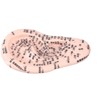 17cm Ear Point Probe 600pcs Auricular Patches Silicone Ear Model