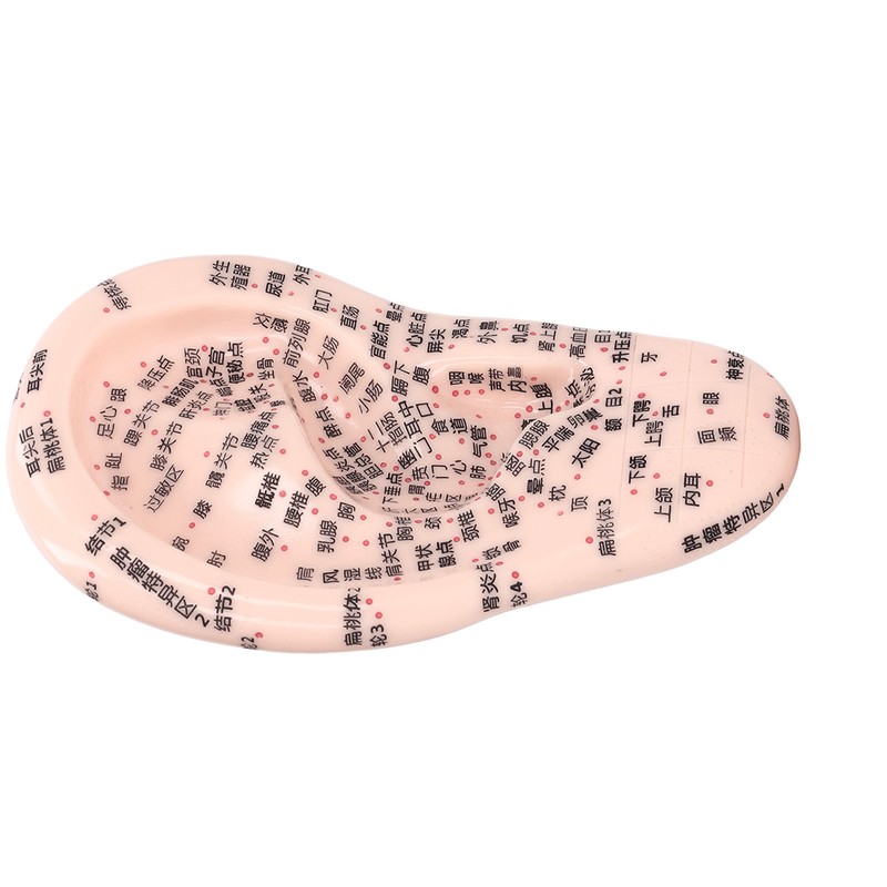 17cm Ear Point Probe 600pcs Auricular Patches Silicone Ear Model
