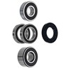 NICHE Wheel Bearing Seal Kit for Honda VTX1300 1300R VTX1800
