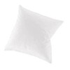 Irisette 4005367425431 Cushion Paris 8000/10 Design 80 x 80 CM