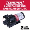 Chapin 6-9214 12V 3.0 GPM Diaphragm Pump, Black