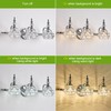 DJFHKO Vanity Lights for Bathroom Vanity Light Fixtures Chrome Vanity