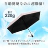 Angels Closet, 2024 Version Folding Umbrella, Auto Open & Close,
