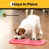 Conlun Stainless Steel Dog Bowls with Non-Slip Silicone Mat, Spill