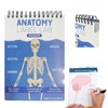 Gonggi Anatomy Lables Study Notebook, Remarkable Erasable Anatomy Knowledge Test