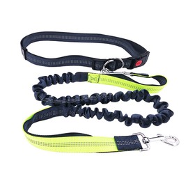 FULARR Premium Quality 4Ft Hands Free Dog Leashes, Adjustable Waist Belt + Dual-Handle Shock Absorbing Bungee Leash, Reflective Stitching Dog Leash for Jogging Running Walking Hiking –– Grey + Green